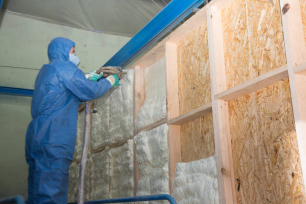 Insulation Inspection Services in Itta Bena, MS